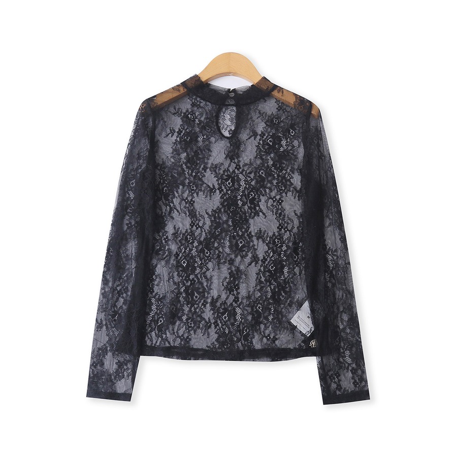 Signature Lace Textured Chiffon Blouse product image